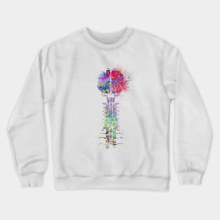 Brain and cervical Crewneck Sweatshirt